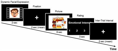 Neurocognitive Effects of Preceding Facial Expressions on Perception of Subsequent Emotions